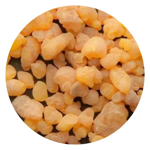 Boswellia Extract