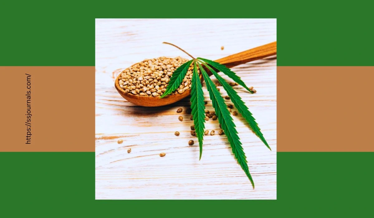 Health Benefits Of Hemp Seeds Discovering The Unknown Health Perks