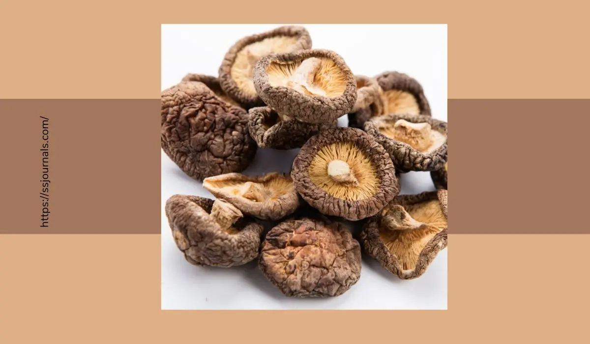 Shiitake Mushrooms Benefit