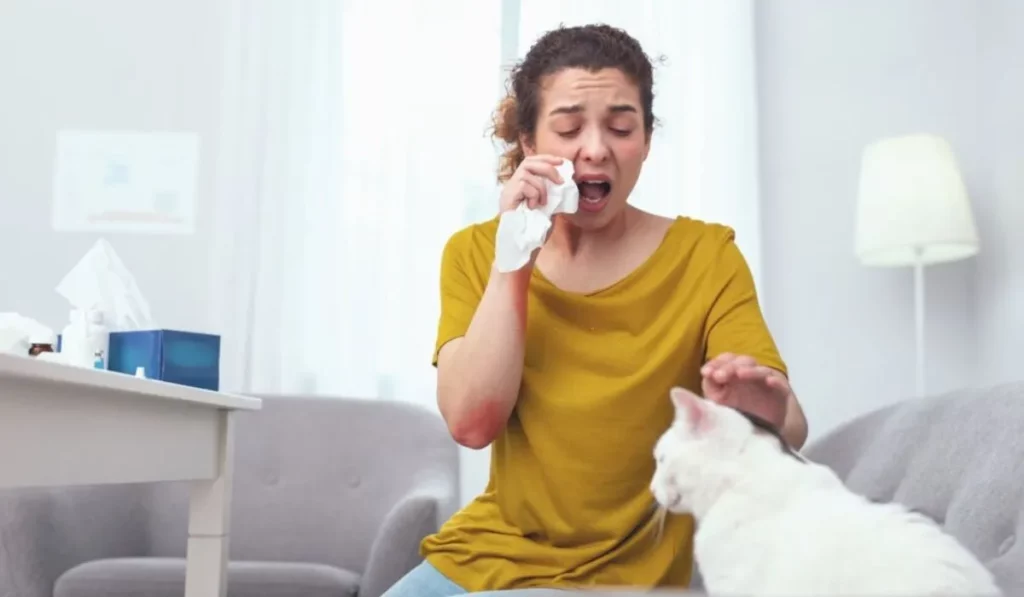 What Are The Common Pet Allergy Symptoms