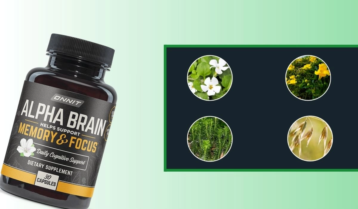 Alpha Brain Ingredients