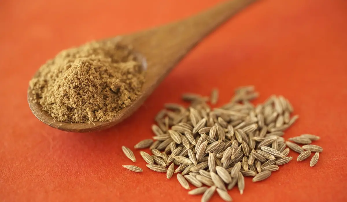 Cumin A Flavorful Spice With A Rich History