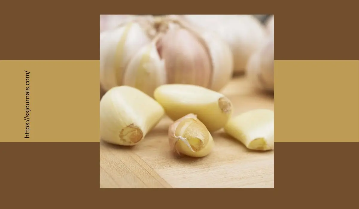 Garlic For Ear Infection