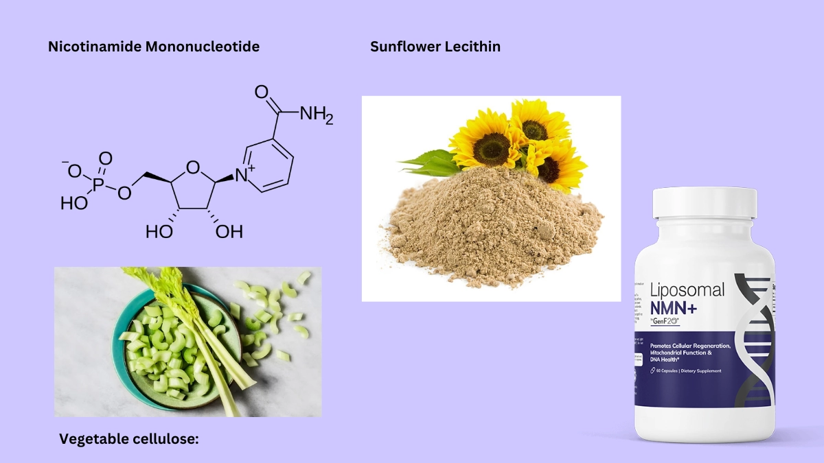 Liposomal NMN Plus Ingredients