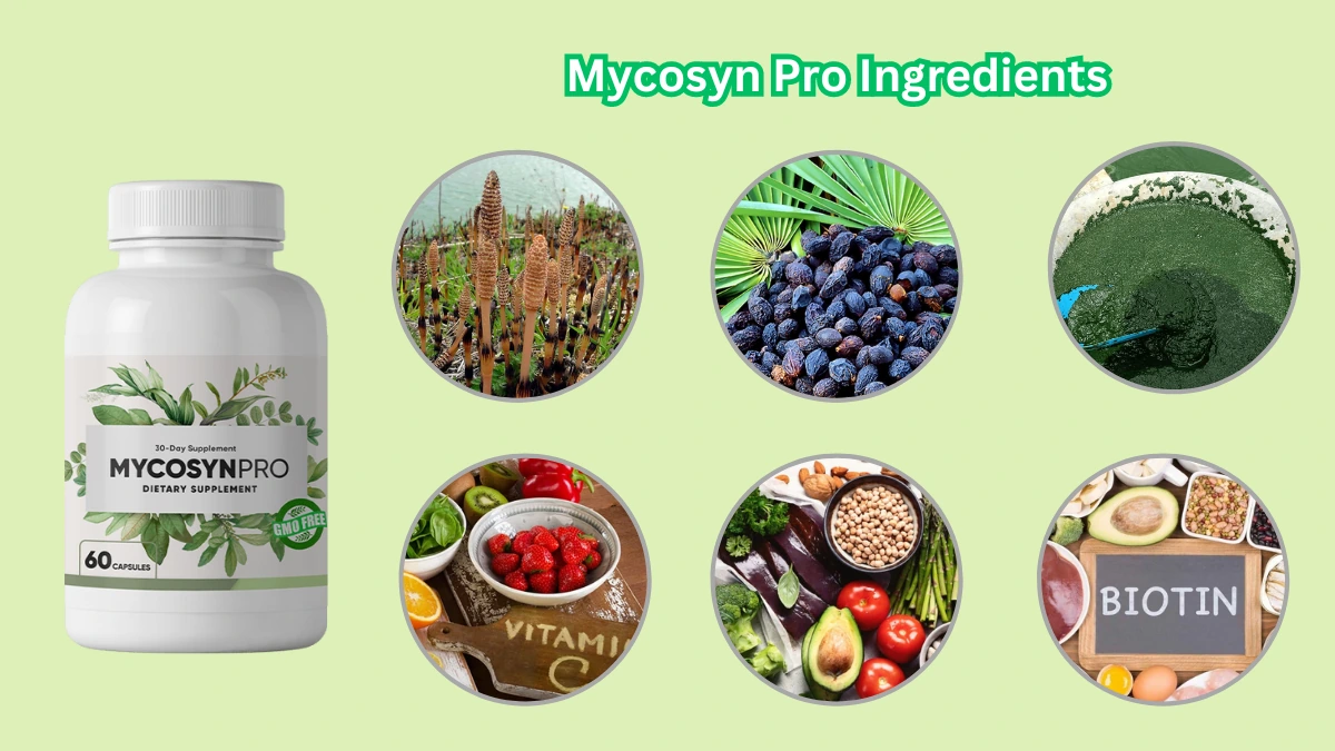 Mycosyn Pro Ingredienser