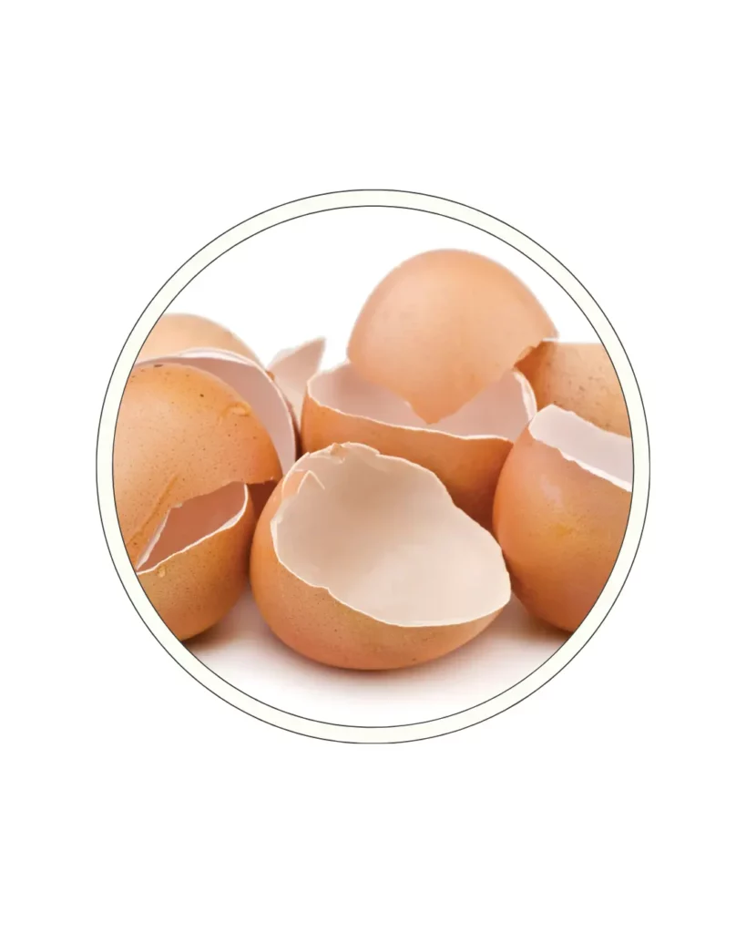 Natural Eggshell Membrane (NEM)