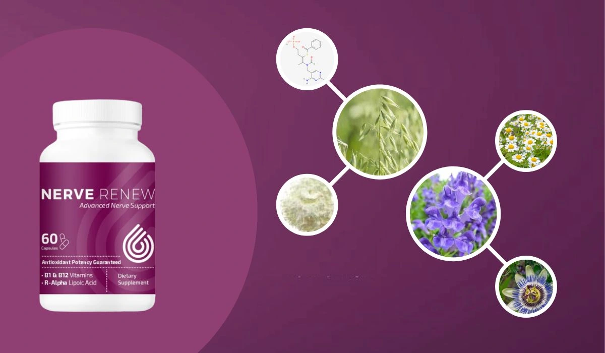 Nerve Renew Ingredients