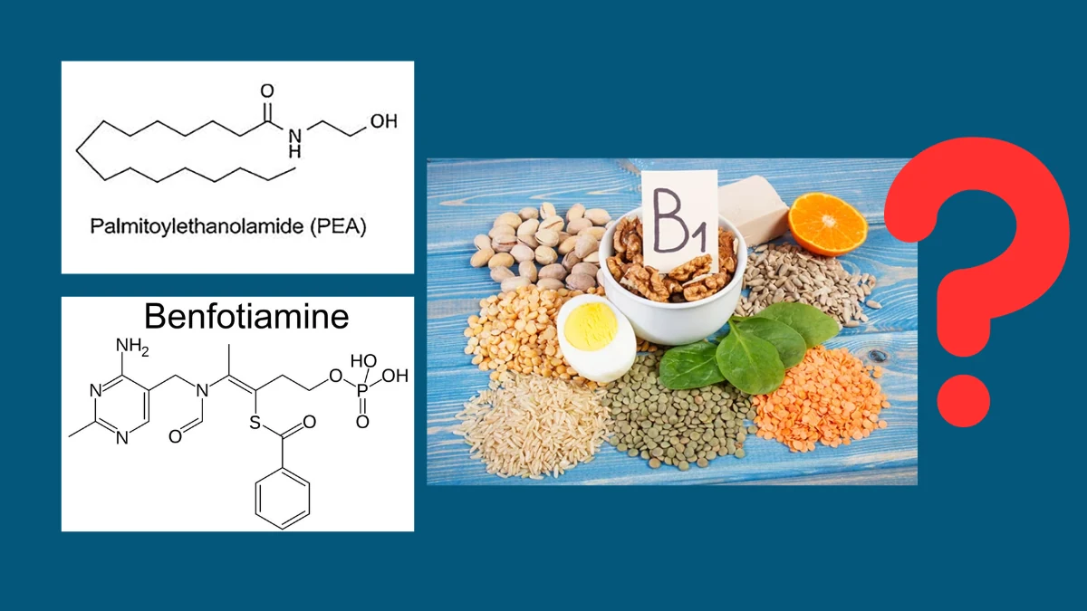 SciatiEase Ingredients