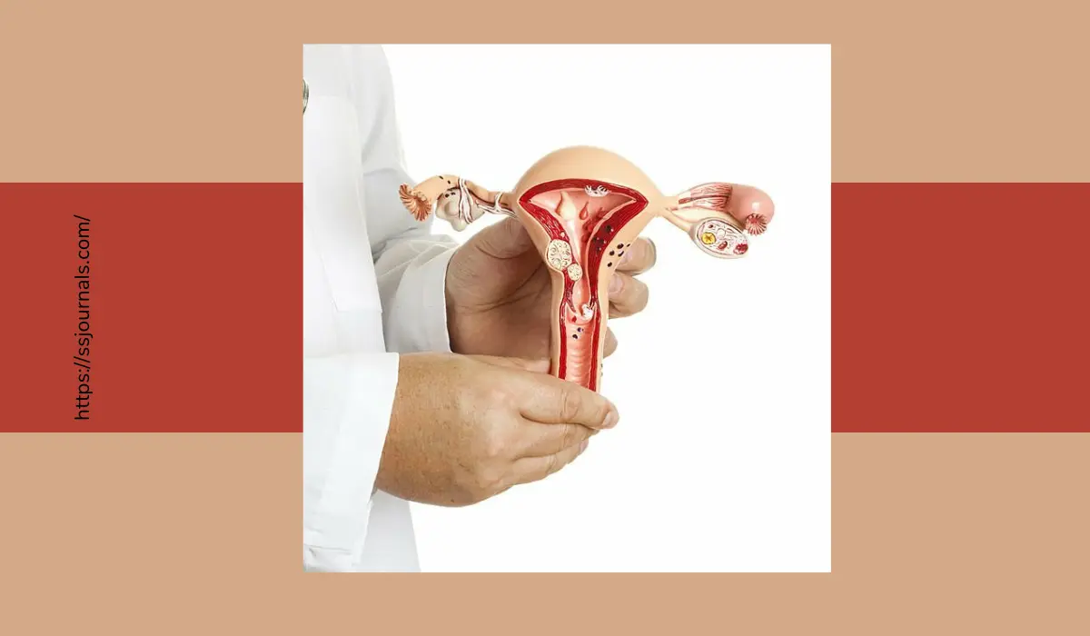 Signs Of Fibroids Breaking Down