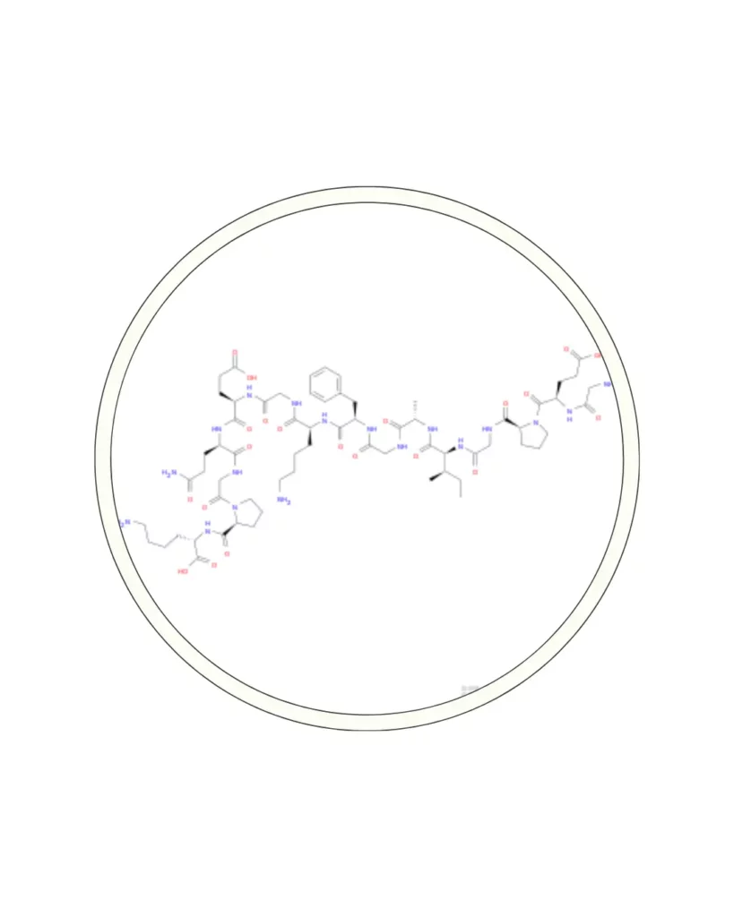 Type II Collagen