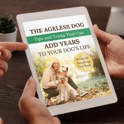 Bonus #1 - The Ageless Dog