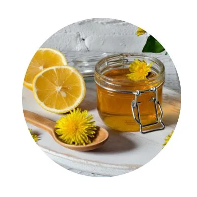 Dandelion Extract