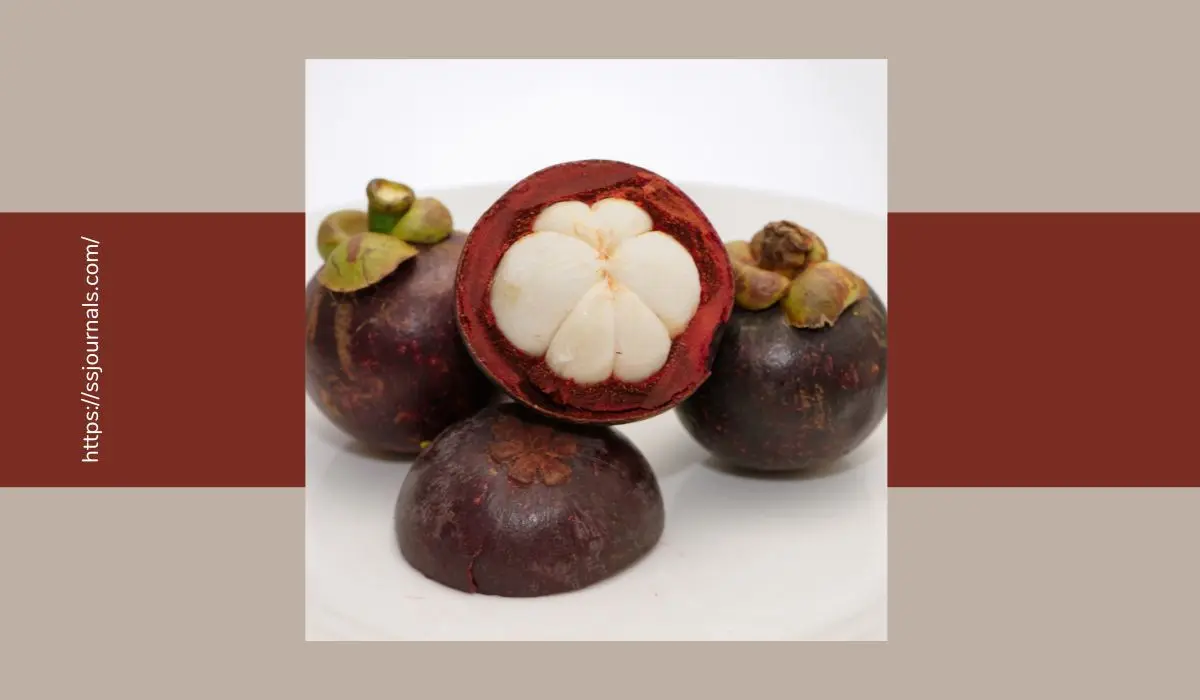Garcinia Mangostana The Potential Benefits for Weight Management