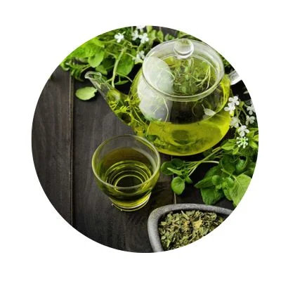 Green Tea Ingredient