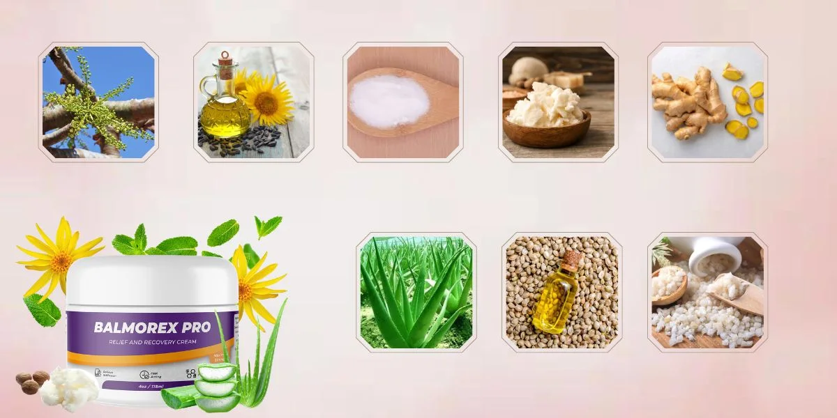 Balmorex Pro Ingredients