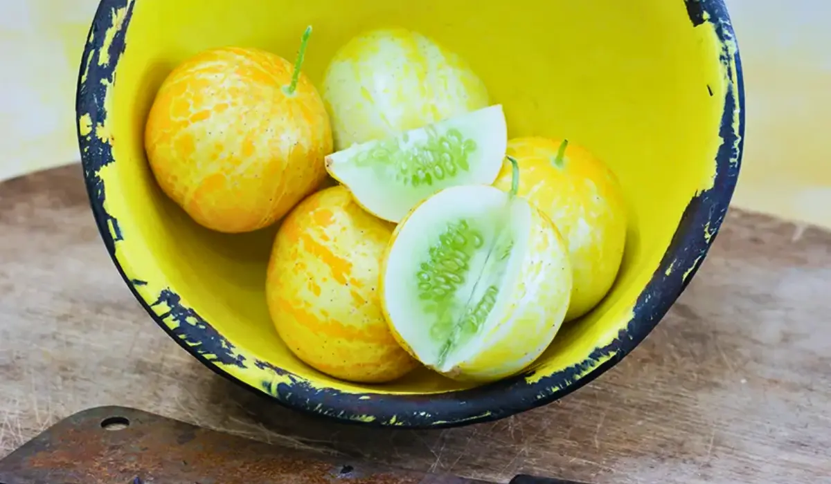 Of Lemon Cucumber