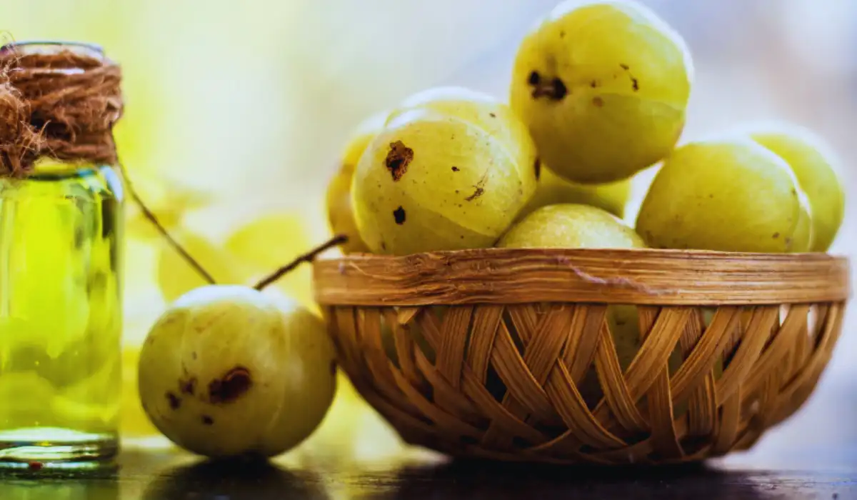 Amla Oil Benefits