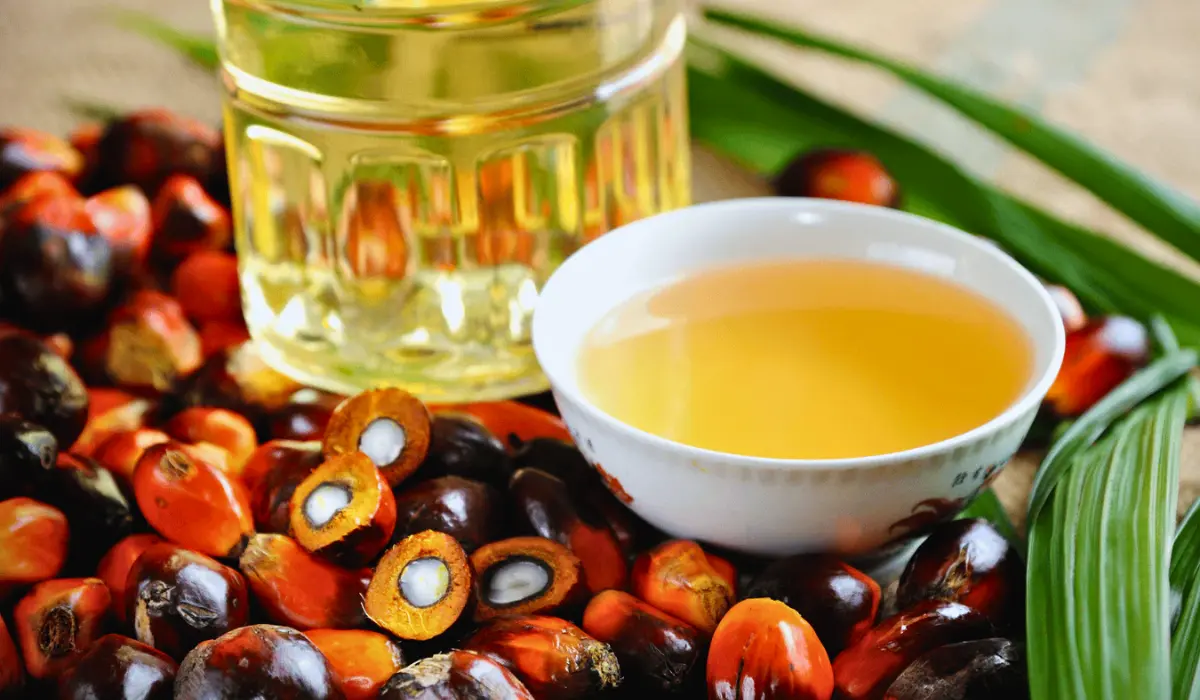 Benefits Of Batana Oil