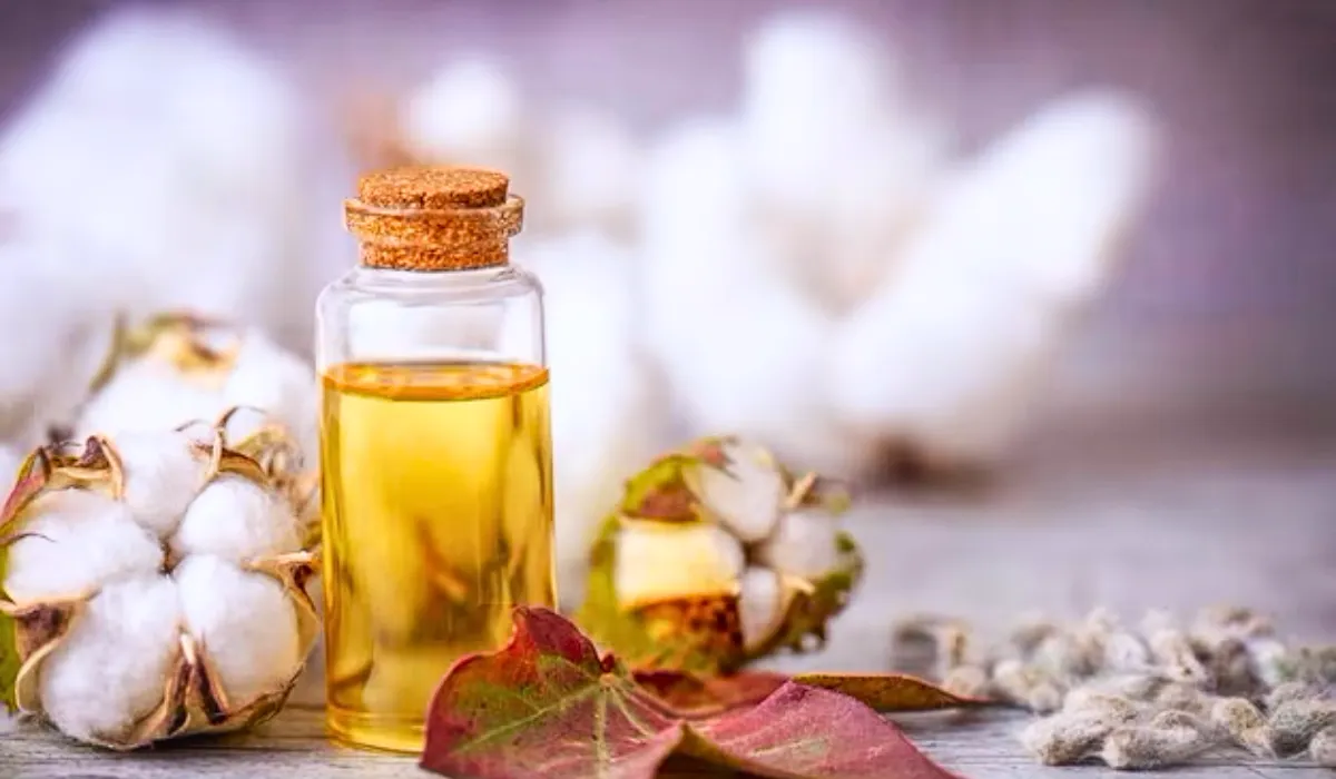 Camphor Oil Benefits