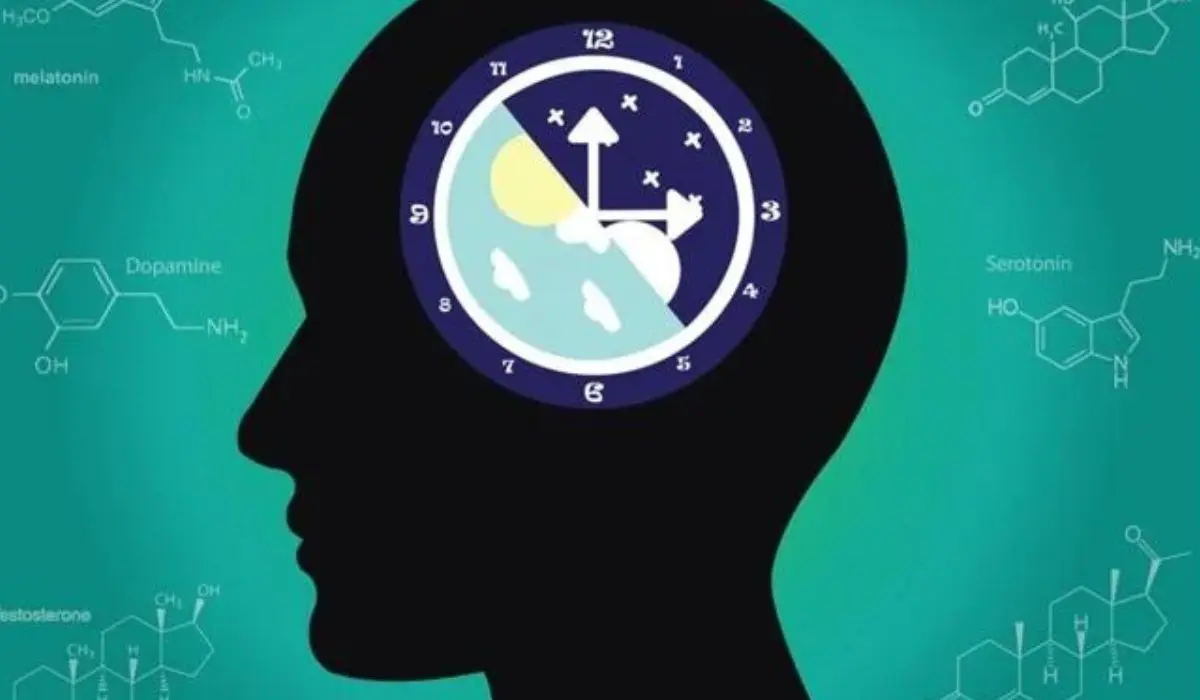 Circadian Rhythm Sleep Disorder Causes, Symptoms, Diagnosis And Treatment