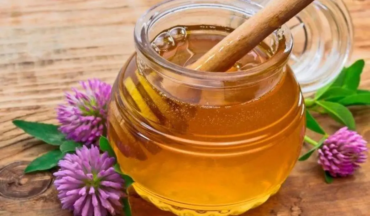 Clover Honey And Its Benefits