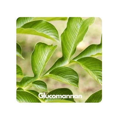 Glucomannan Ingredient