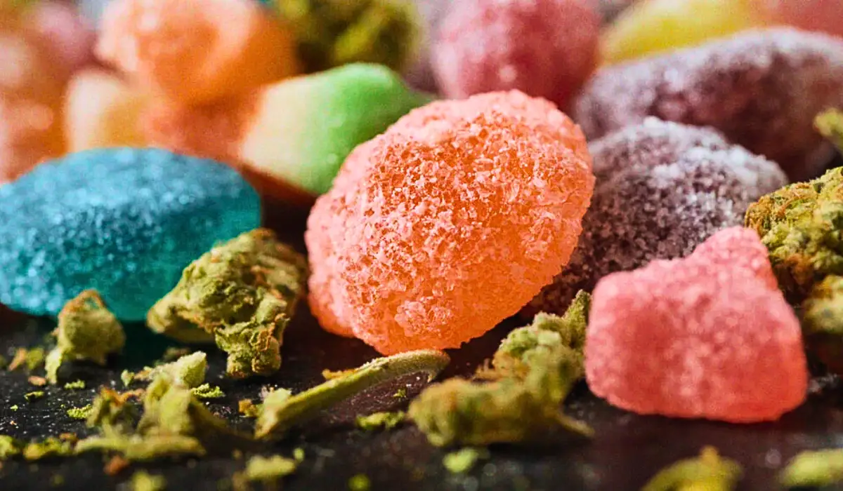 How Long Do Edibles Stay in Your System