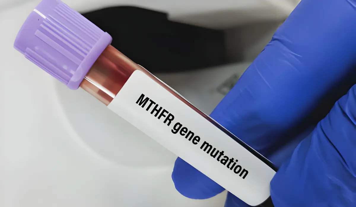 MTHFR Mutation