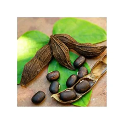 Mucuna pruriens