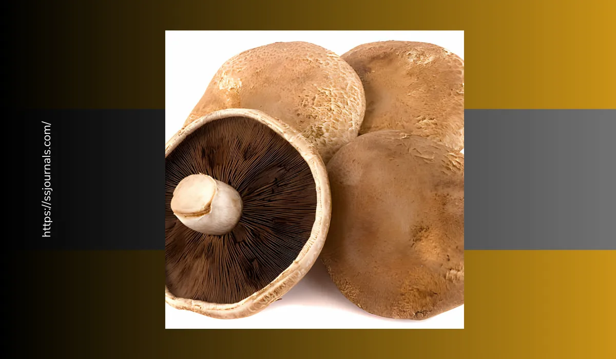 Negative Effects Of Portobello Mushrooms