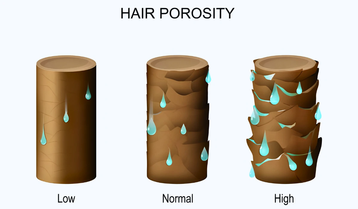 Oils For Low Porosity Hair