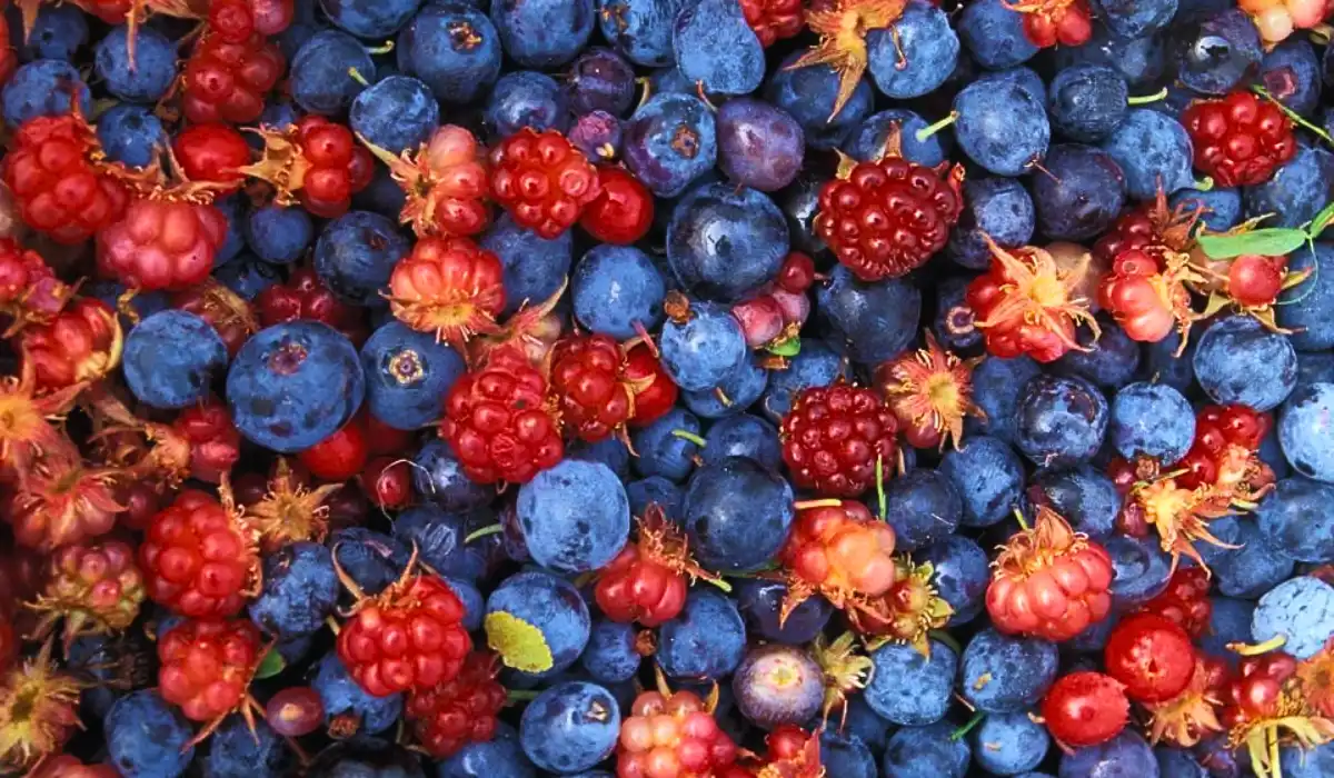 Is Wild Berry Good For Health