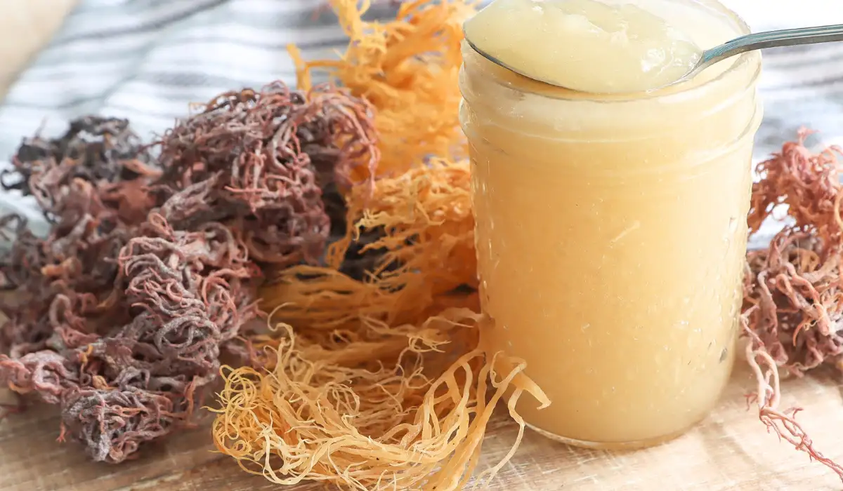 sea moss gel 