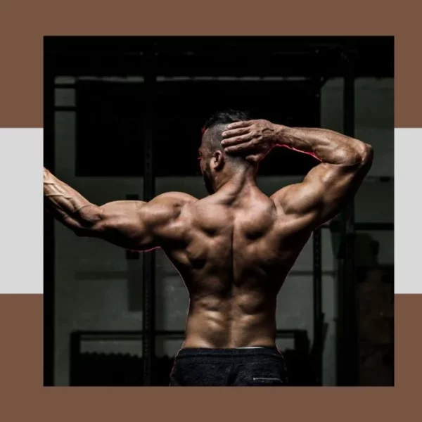 Best Steroid Alternatives For Muscle Growth