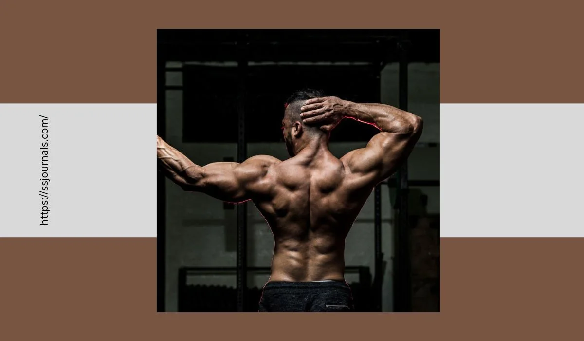 Best Steroid Alternatives For Muscle Growth