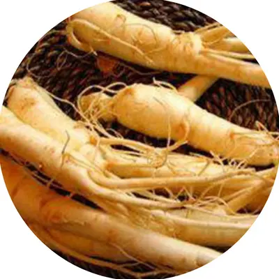 Chinese Ginseng