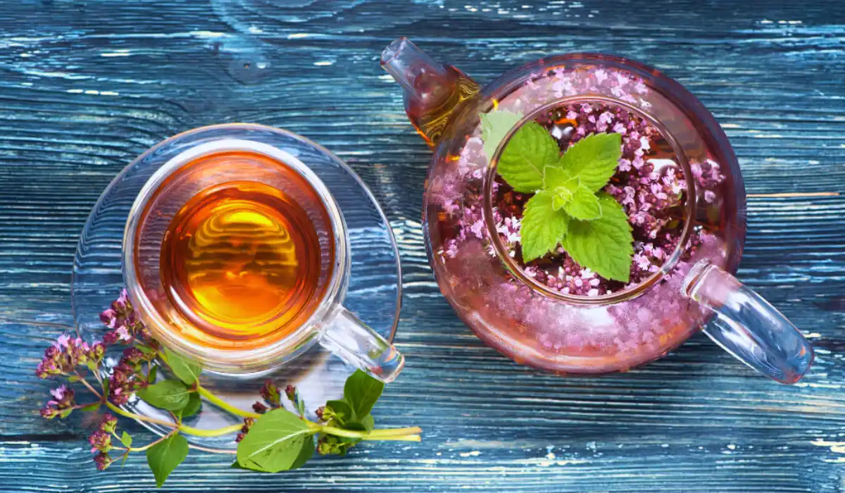 Health Benefits of Oregano Tea