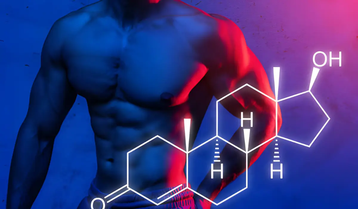 Importance Of Testosterone