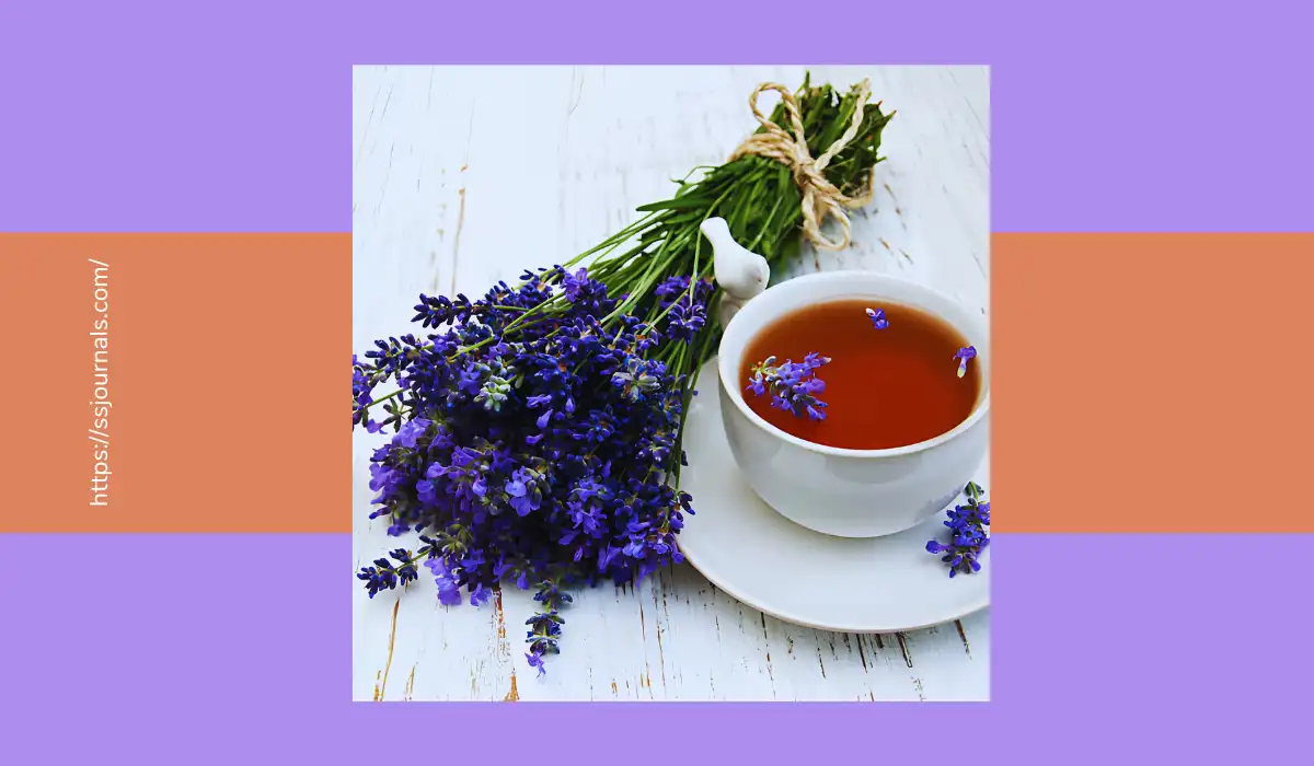 Lavender Tea Benefits