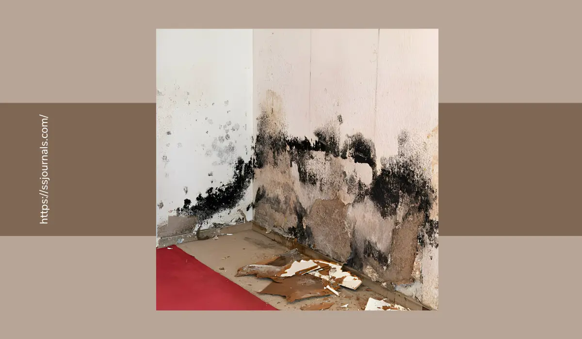 Non Toxic Black Mold