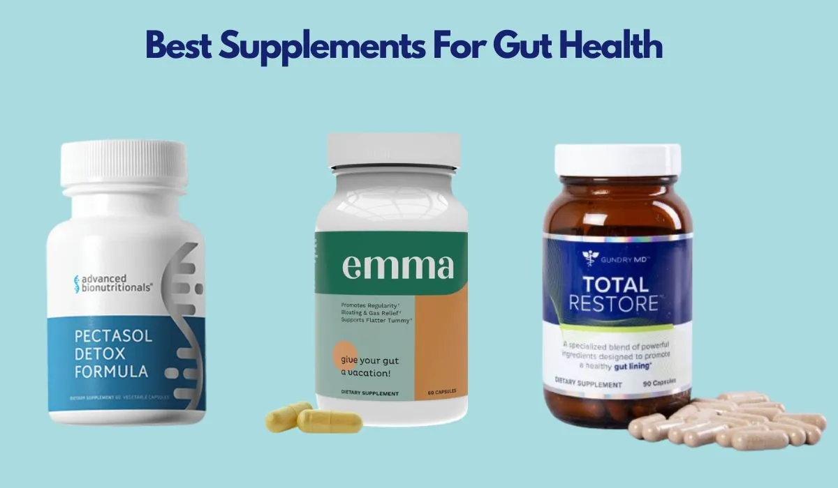 Three Best Supplements For Gut Health