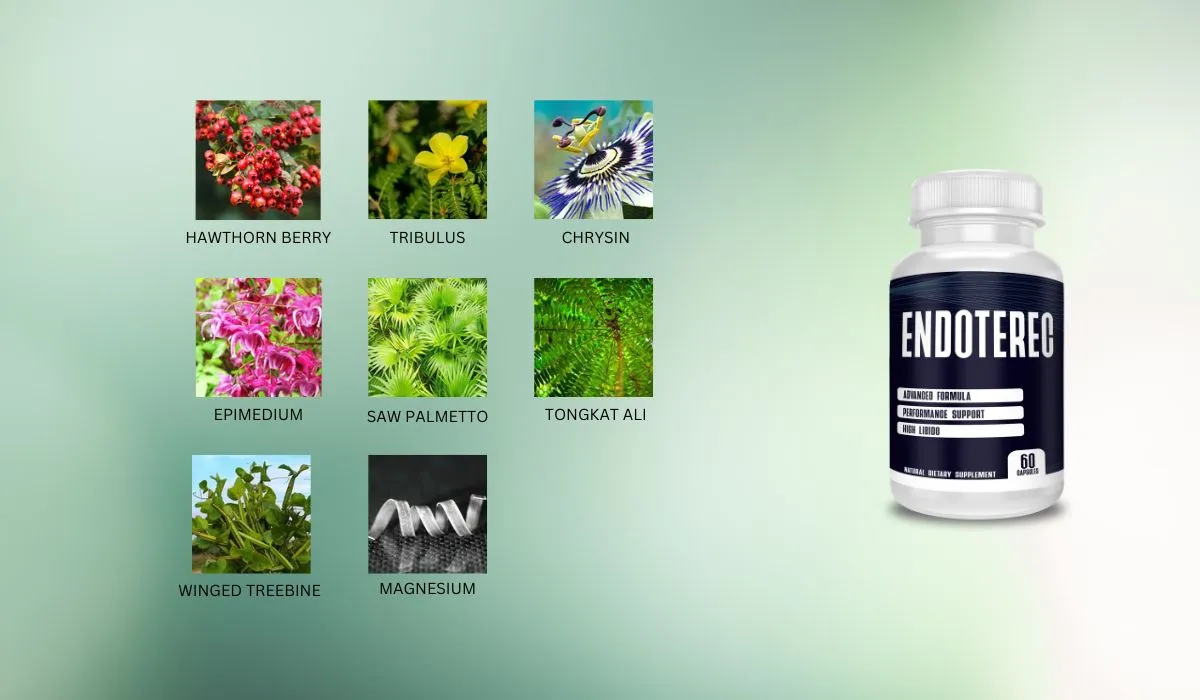 Endoterec Ingredients